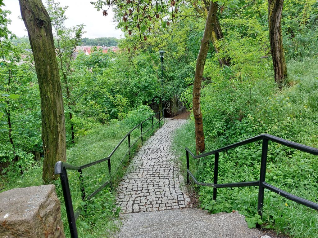 Park Mr%C3%A1zovka fotodokumentace SO 104 01