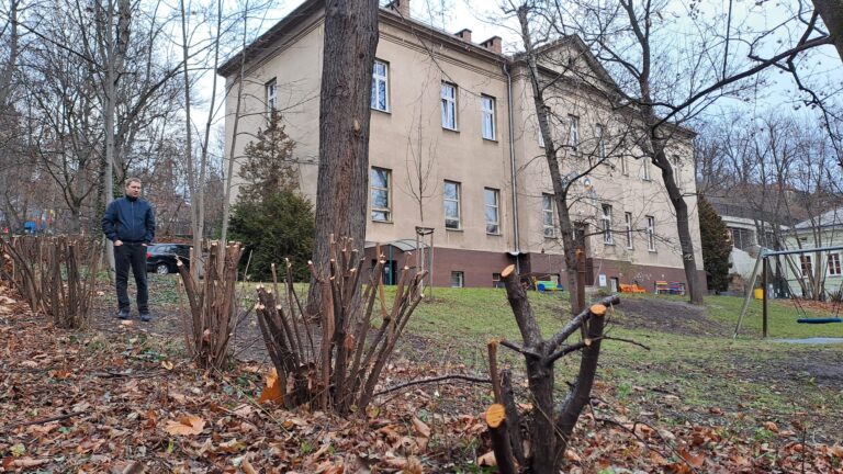 křoví