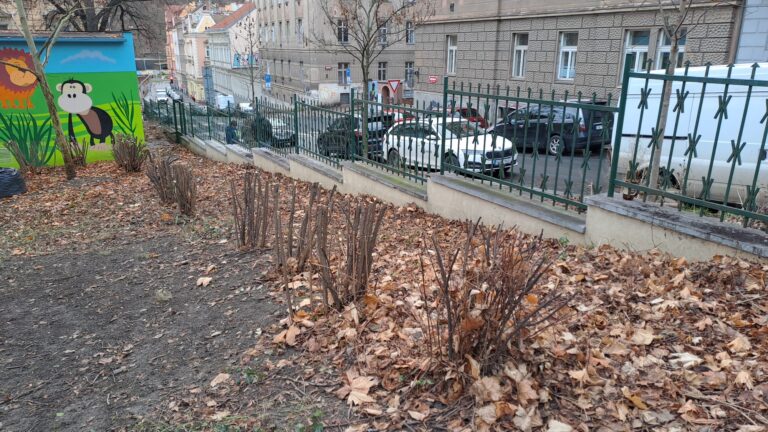křoví