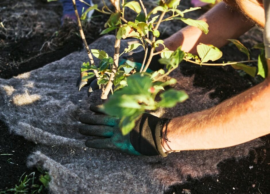 Na Smíchově se můžete těšit na komunitní zahradu
