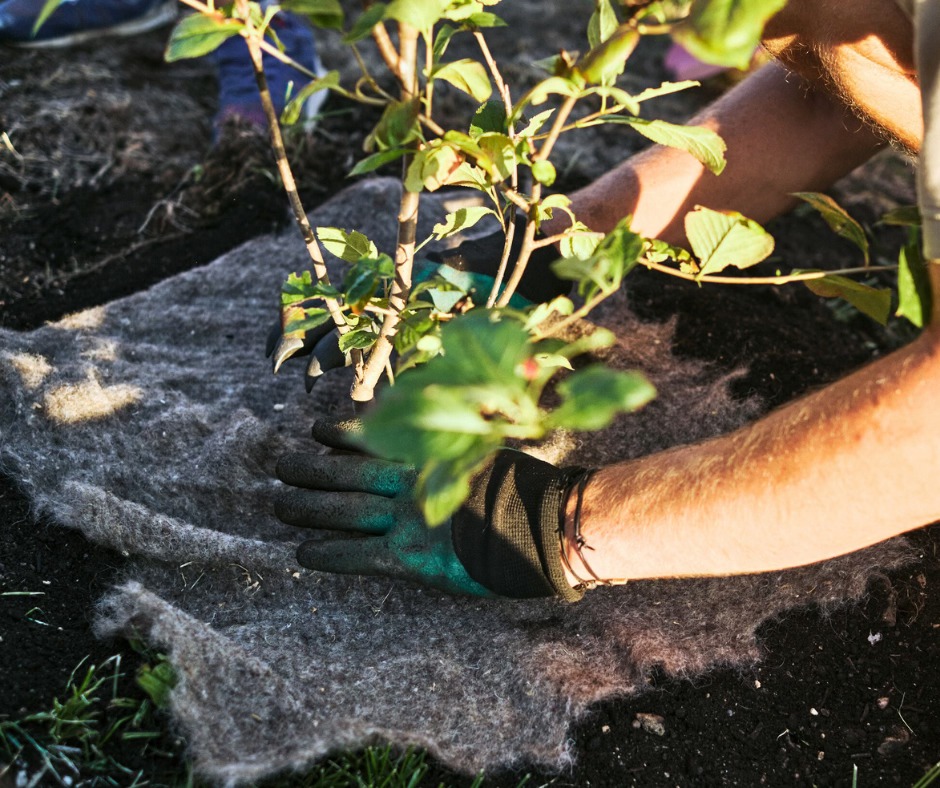 Na Smíchově se můžete těšit na komunitní zahradu