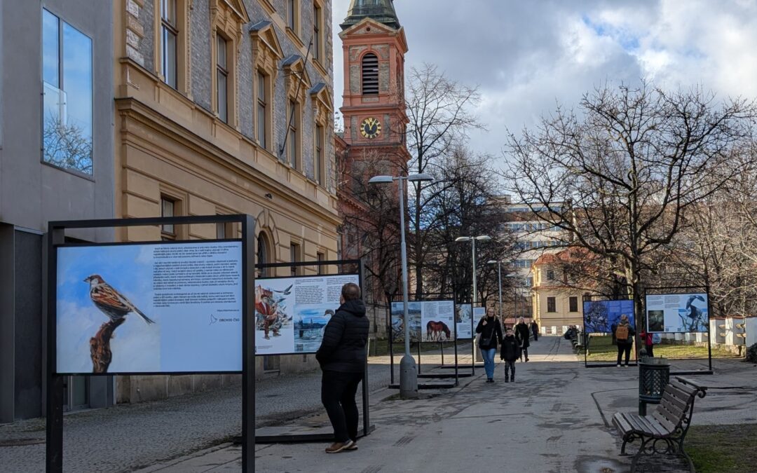 Venkovní galerie Portheimka představuje Můj atlas ptáků