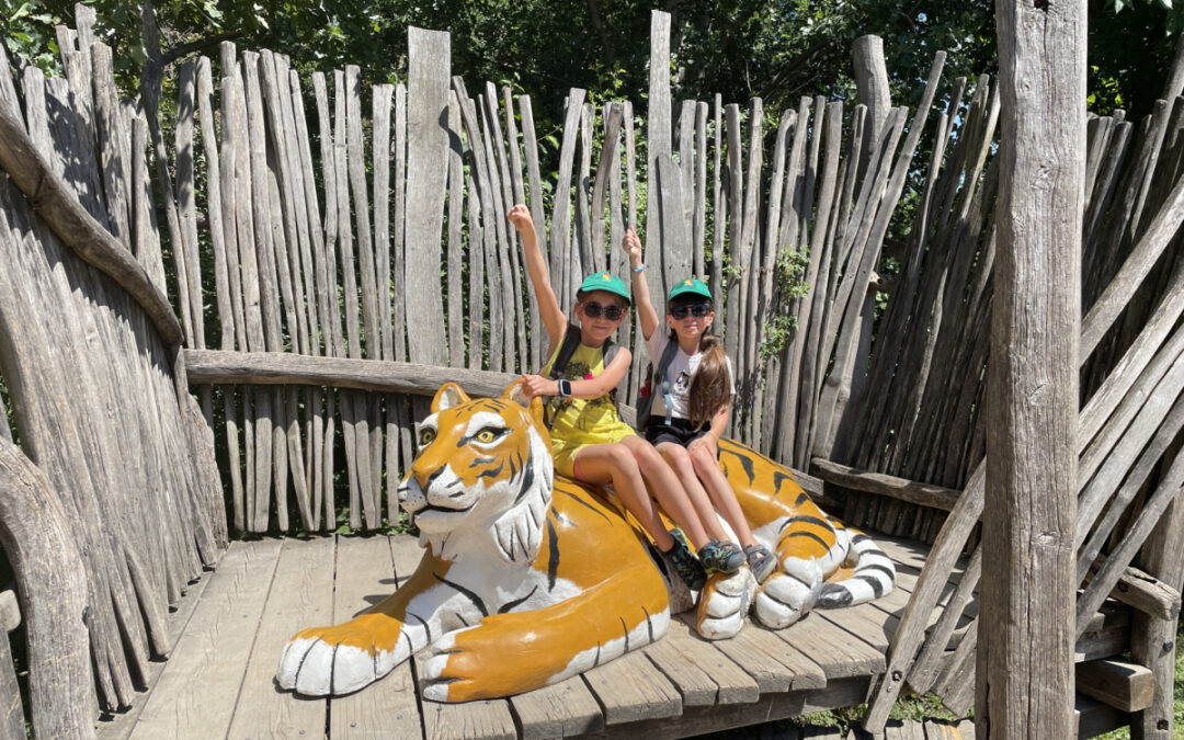 Jak budou o letních prázdninách otevřené mateřinky