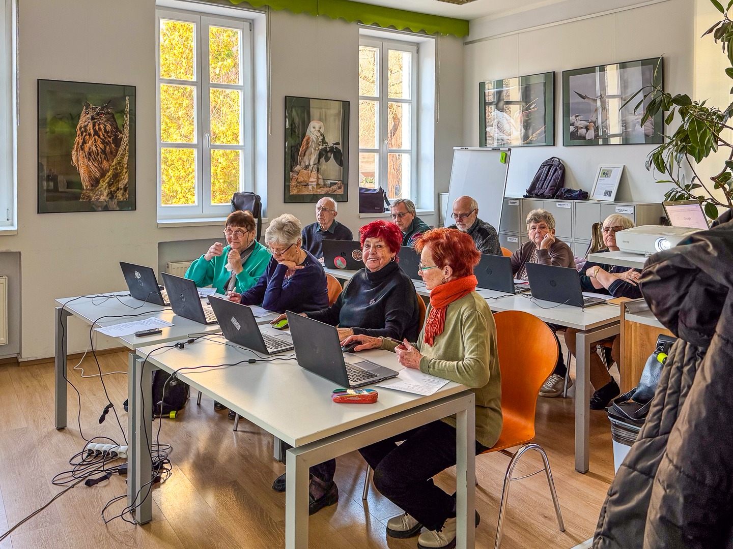 Hledáme lektory kurzů pro seniory