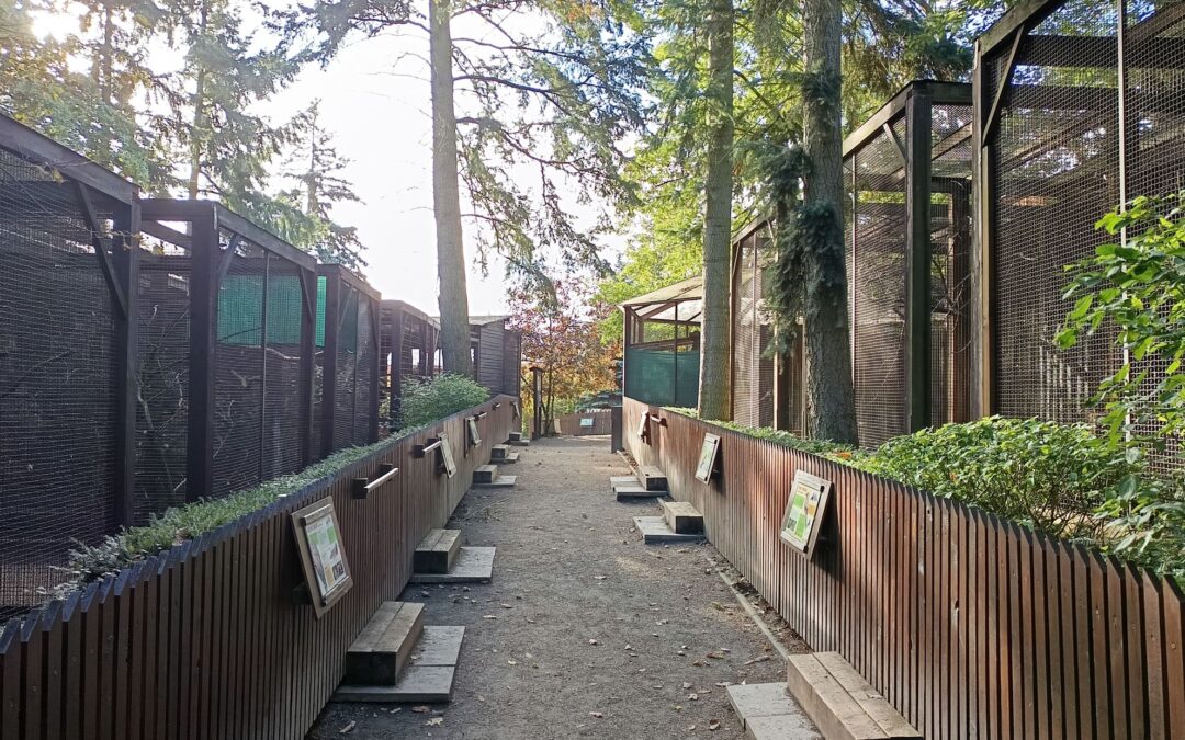 Výletník přináší tipy na toulky bez velkých nákladů