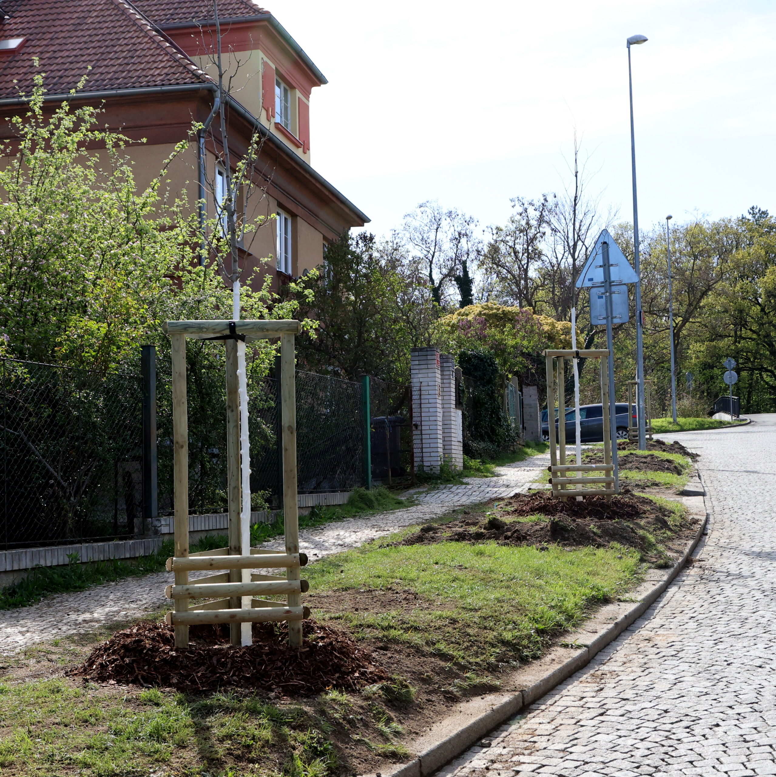 V ulici V Cibulkách přibylo 23 odolných stromů