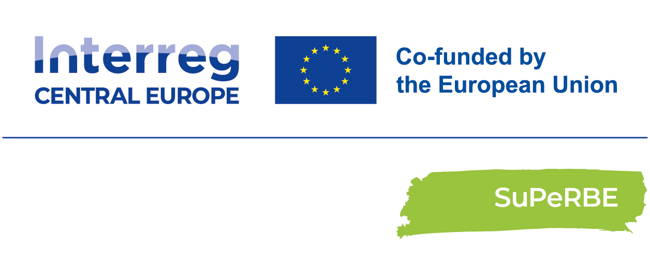SuPeRBE Logo Standard medium 002