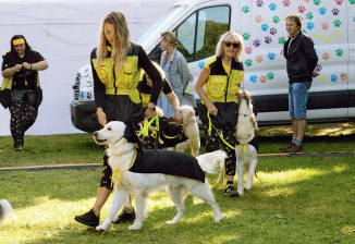 Už 24 let asistenční psi cvičí v Praze 5