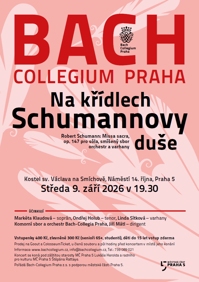 Schumann zari2