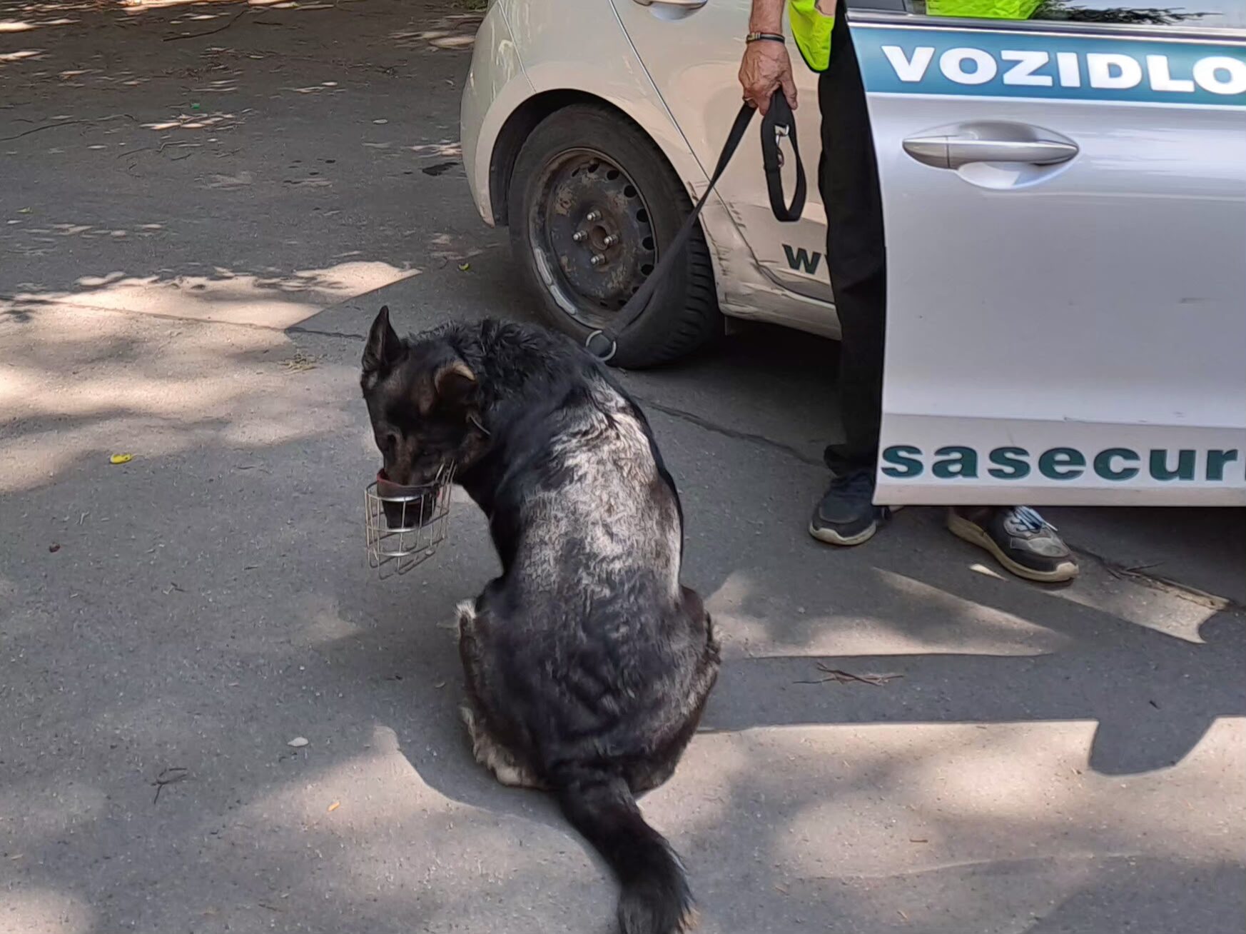 Některé parky hlídá bezpečnostní agentura, sbírá i použité jehly 2 ziva