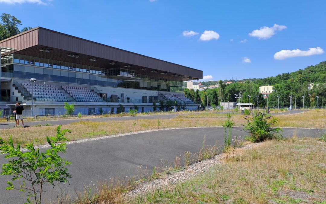 Místo chrtů sportovní areál využijí atleti