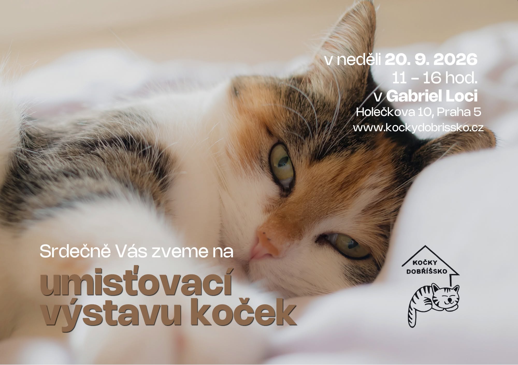 Přijďte na umisťovací výstavu koček 1 Pozvanka na umistovaci vystavu kocek Gabrie Loci zari 2026