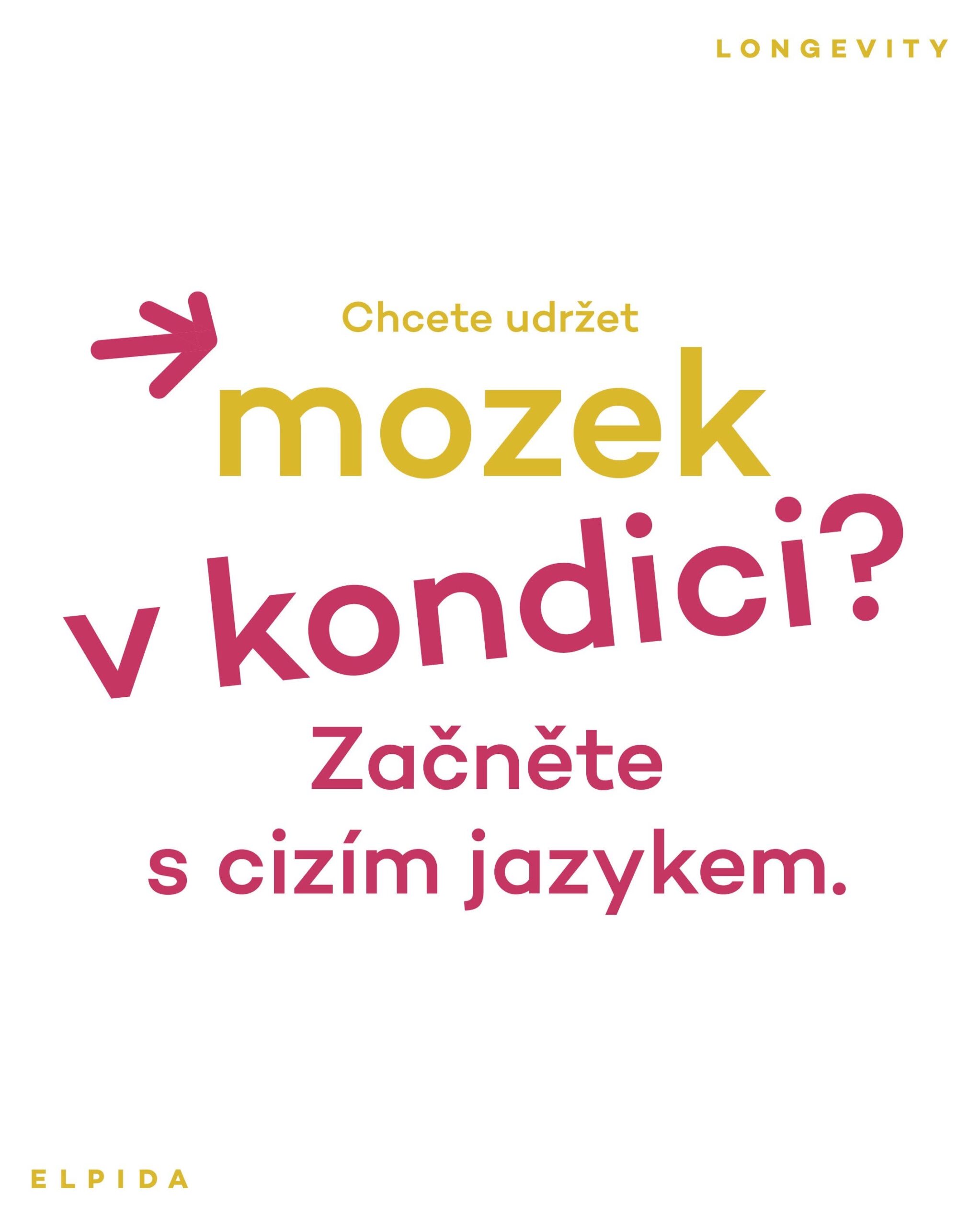 Učení jazyků prospívá mozku