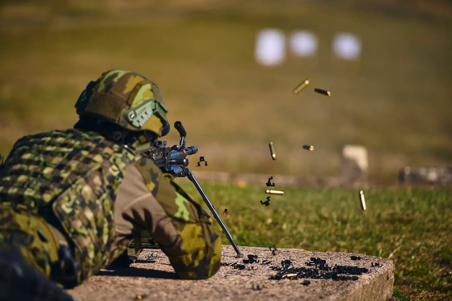 Cvičení Safeguard 2026